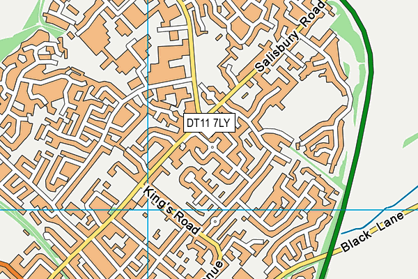 DT11 7LY map - OS VectorMap District (Ordnance Survey)