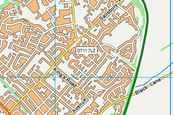 DT11 7LZ map - OS VectorMap District (Ordnance Survey)