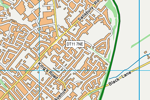 DT11 7NE map - OS VectorMap District (Ordnance Survey)