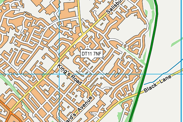 DT11 7NF map - OS VectorMap District (Ordnance Survey)