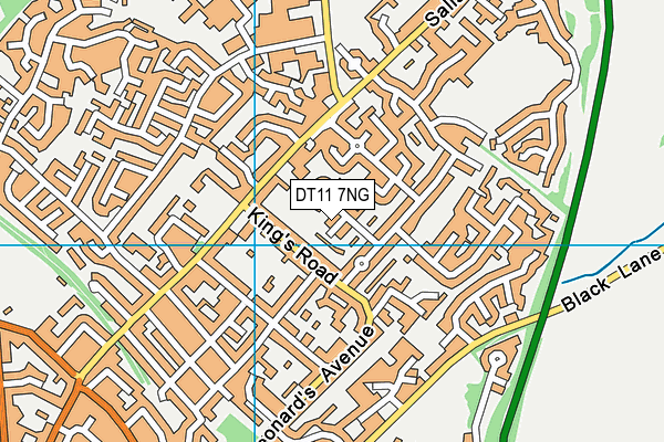DT11 7NG map - OS VectorMap District (Ordnance Survey)