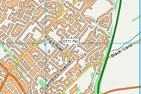 DT11 7NJ map - OS VectorMap District (Ordnance Survey)