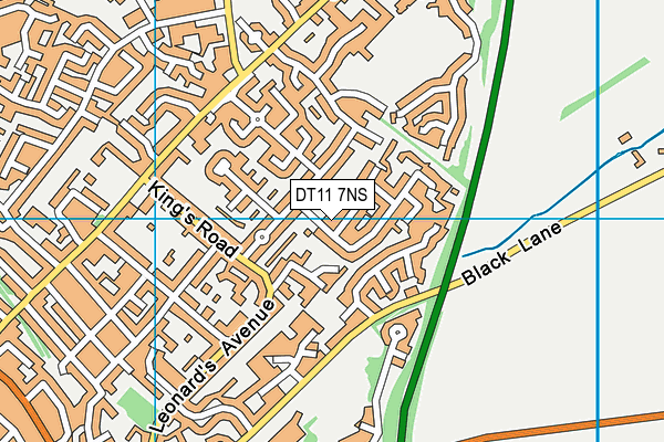 DT11 7NS map - OS VectorMap District (Ordnance Survey)