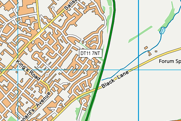 DT11 7NT map - OS VectorMap District (Ordnance Survey)