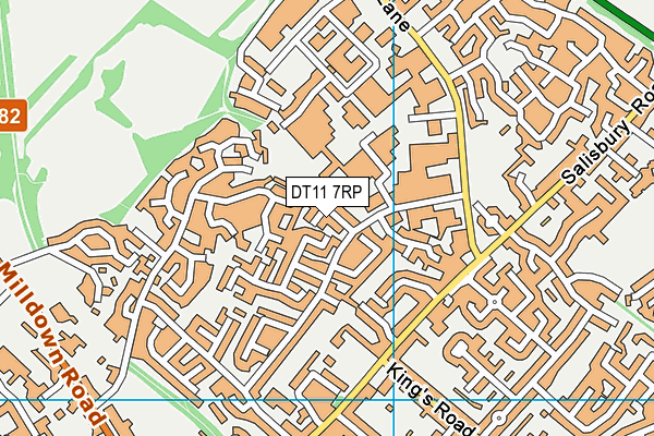 DT11 7RP map - OS VectorMap District (Ordnance Survey)