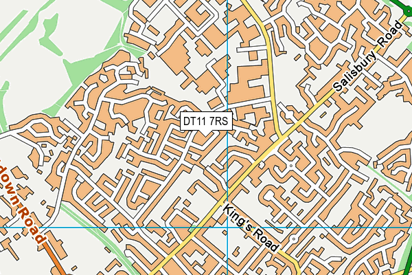DT11 7RS map - OS VectorMap District (Ordnance Survey)