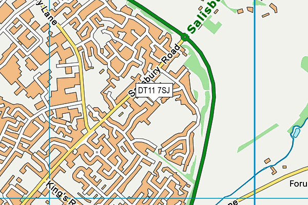 DT11 7SJ map - OS VectorMap District (Ordnance Survey)