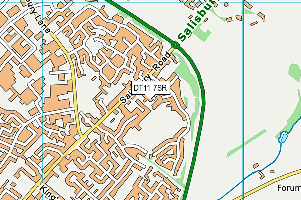 DT11 7SR map - OS VectorMap District (Ordnance Survey)