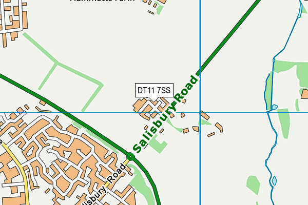 DT11 7SS map - OS VectorMap District (Ordnance Survey)