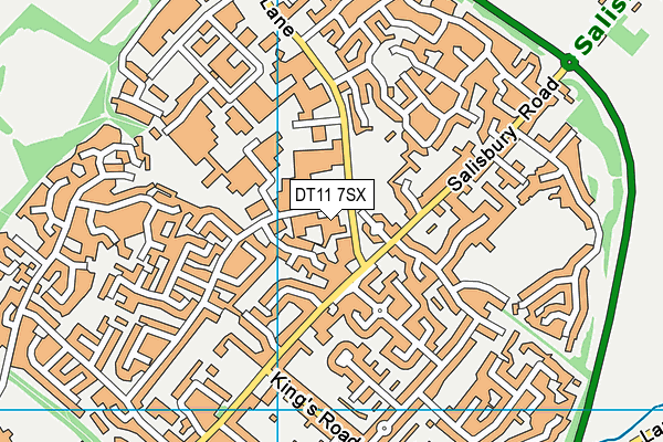 DT11 7SX map - OS VectorMap District (Ordnance Survey)
