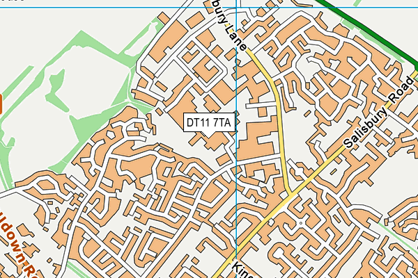 DT11 7TA map - OS VectorMap District (Ordnance Survey)