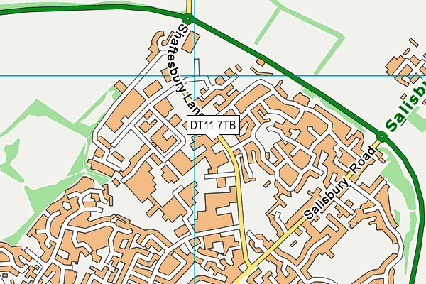 DT11 7TB map - OS VectorMap District (Ordnance Survey)