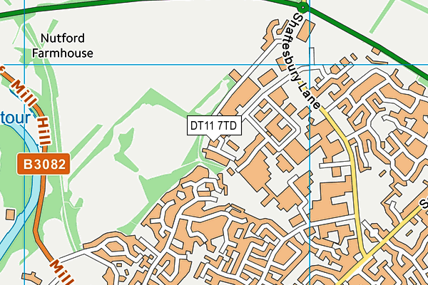 DT11 7TD map - OS VectorMap District (Ordnance Survey)
