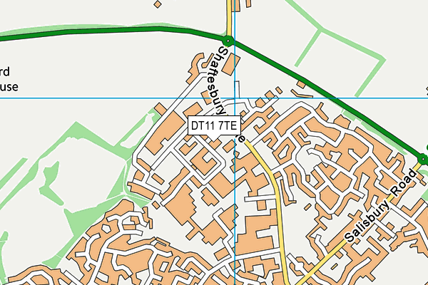 DT11 7TE map - OS VectorMap District (Ordnance Survey)