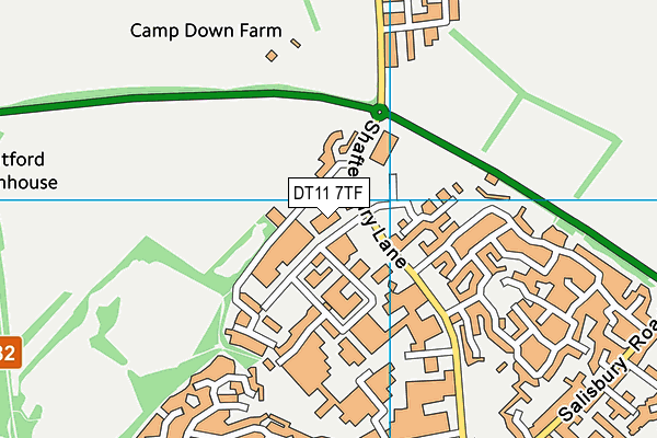 DT11 7TF map - OS VectorMap District (Ordnance Survey)