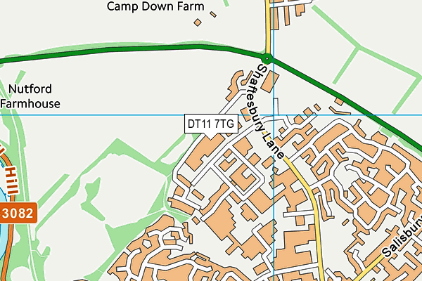 DT11 7TG map - OS VectorMap District (Ordnance Survey)
