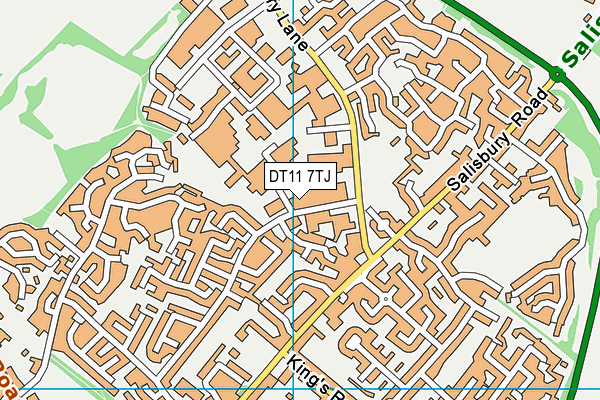 DT11 7TJ map - OS VectorMap District (Ordnance Survey)