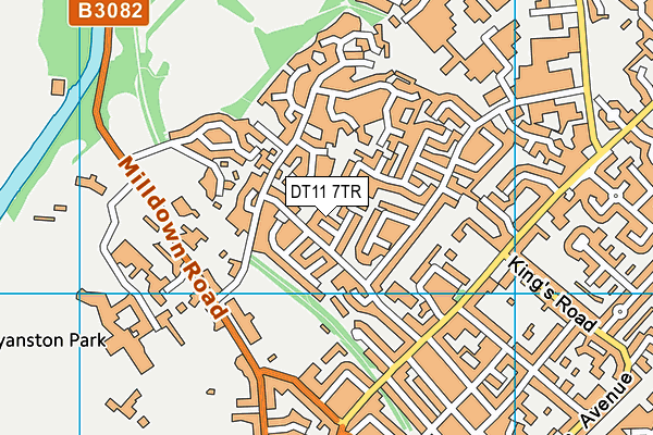 DT11 7TR map - OS VectorMap District (Ordnance Survey)