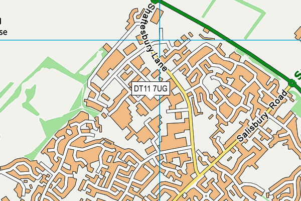 DT11 7UG map - OS VectorMap District (Ordnance Survey)