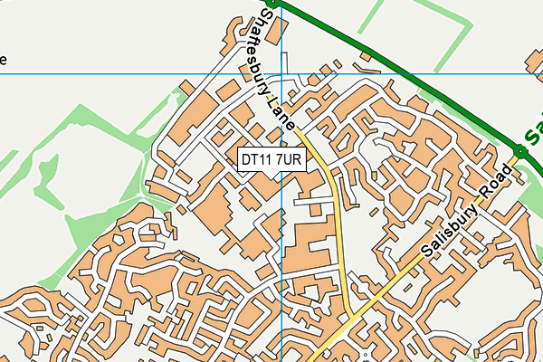 DT11 7UR map - OS VectorMap District (Ordnance Survey)