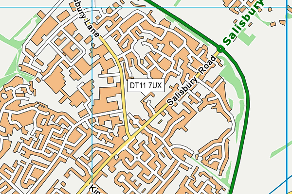 DT11 7UX map - OS VectorMap District (Ordnance Survey)