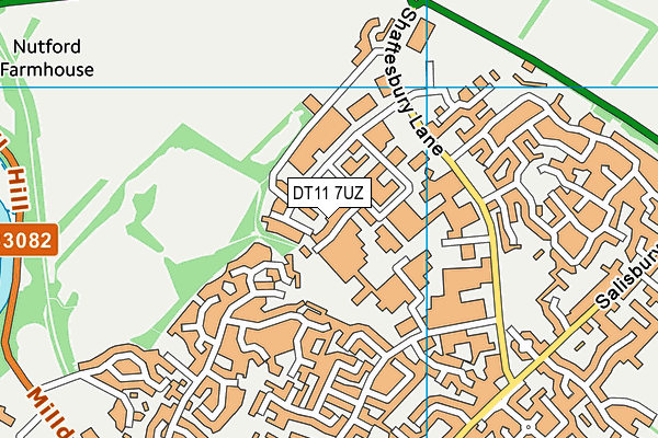 DT11 7UZ map - OS VectorMap District (Ordnance Survey)