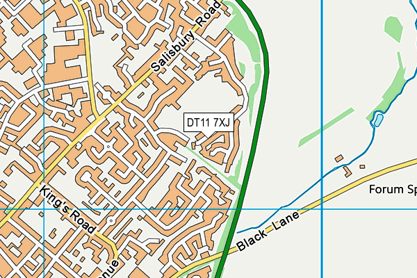 DT11 7XJ map - OS VectorMap District (Ordnance Survey)