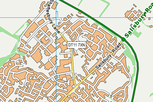 DT11 7XN map - OS VectorMap District (Ordnance Survey)