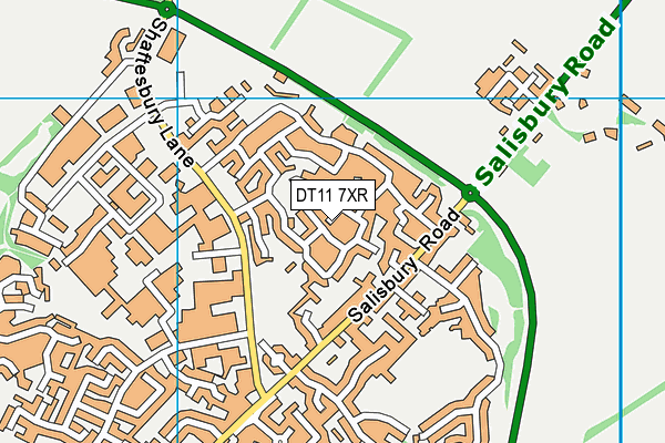 DT11 7XR map - OS VectorMap District (Ordnance Survey)