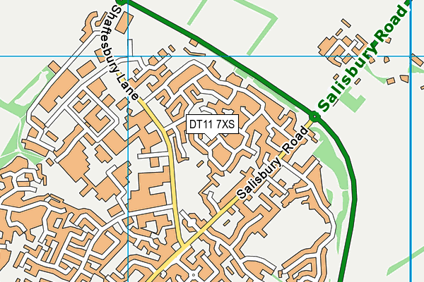 DT11 7XS map - OS VectorMap District (Ordnance Survey)