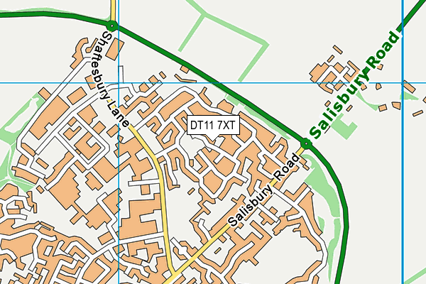 DT11 7XT map - OS VectorMap District (Ordnance Survey)