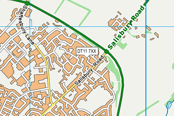 DT11 7XX map - OS VectorMap District (Ordnance Survey)