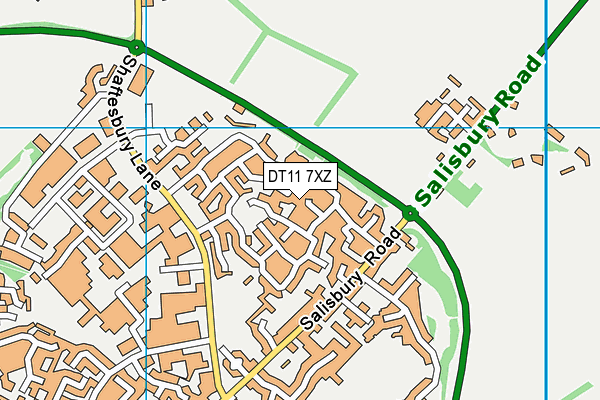 DT11 7XZ map - OS VectorMap District (Ordnance Survey)