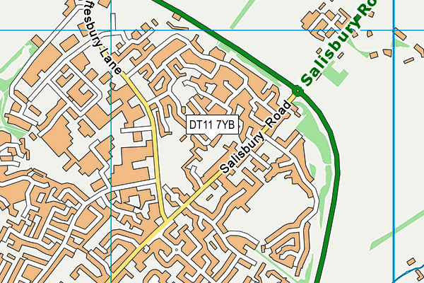 DT11 7YB map - OS VectorMap District (Ordnance Survey)