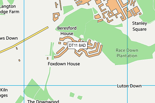 DT11 8AD map - OS VectorMap District (Ordnance Survey)