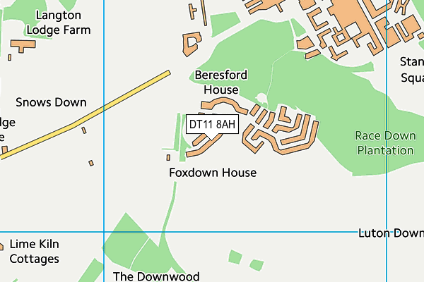 DT11 8AH map - OS VectorMap District (Ordnance Survey)