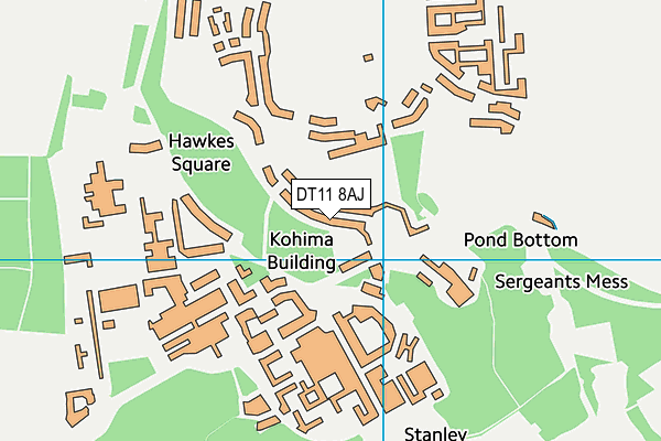 DT11 8AJ map - OS VectorMap District (Ordnance Survey)
