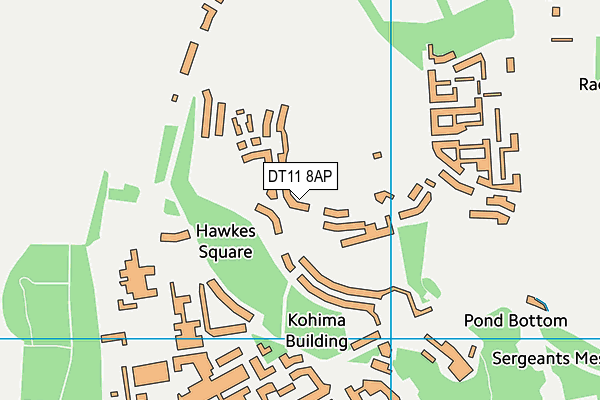 DT11 8AP map - OS VectorMap District (Ordnance Survey)