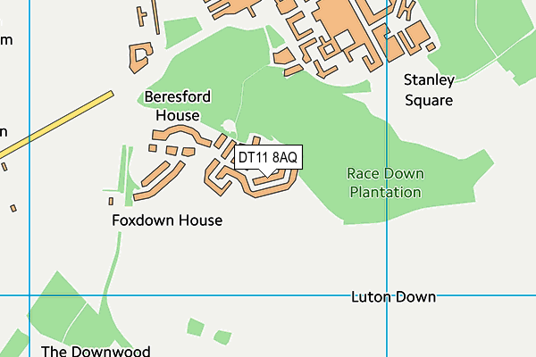 DT11 8AQ map - OS VectorMap District (Ordnance Survey)