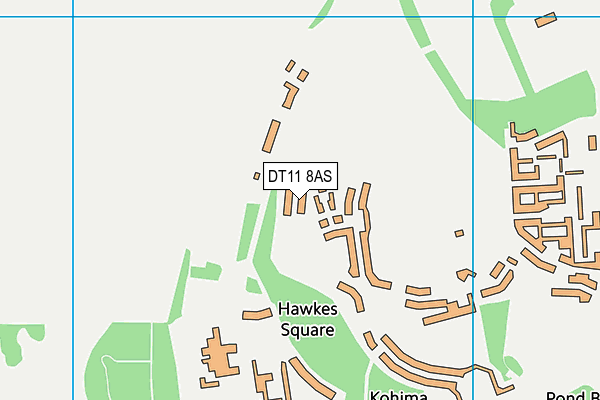 DT11 8AS map - OS VectorMap District (Ordnance Survey)