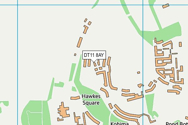 DT11 8AY map - OS VectorMap District (Ordnance Survey)