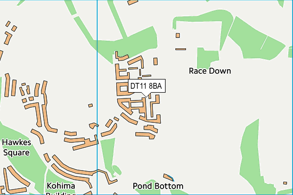 DT11 8BA map - OS VectorMap District (Ordnance Survey)