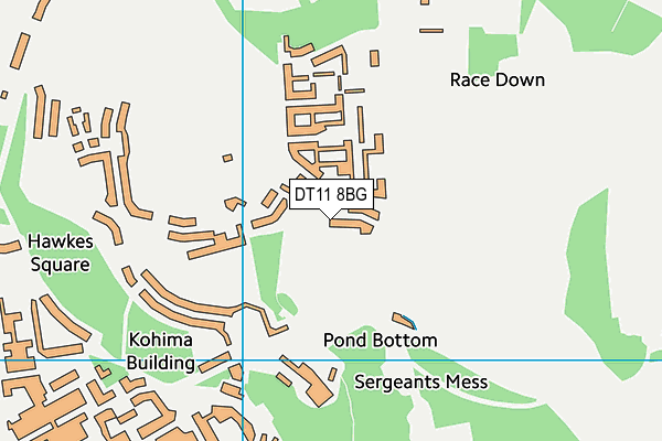 Downlands Community School map (DT11 8BG) - OS VectorMap District (Ordnance Survey)