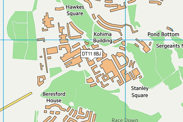 DT11 8BJ map - OS VectorMap District (Ordnance Survey)