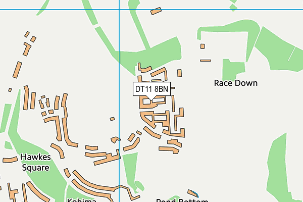 DT11 8BN map - OS VectorMap District (Ordnance Survey)