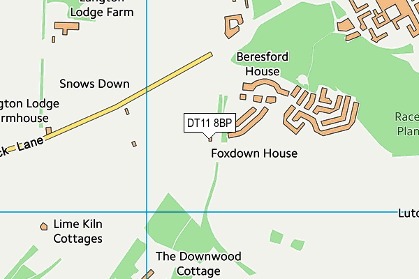 DT11 8BP map - OS VectorMap District (Ordnance Survey)