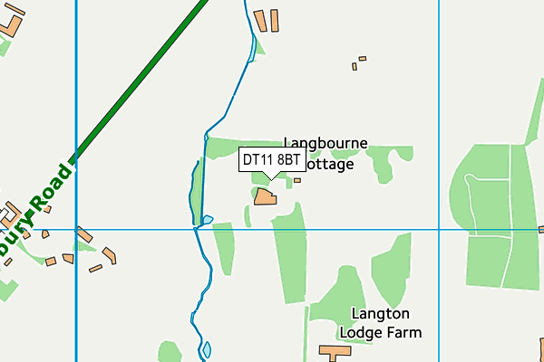 DT11 8BT map - OS VectorMap District (Ordnance Survey)