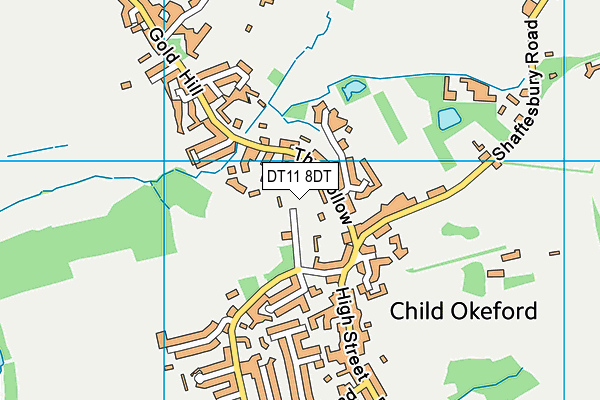 DT11 8DT map - OS VectorMap District (Ordnance Survey)