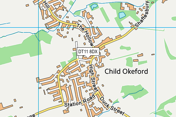 DT11 8DX map - OS VectorMap District (Ordnance Survey)