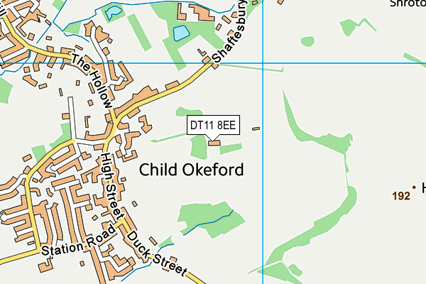 DT11 8EE map - OS VectorMap District (Ordnance Survey)